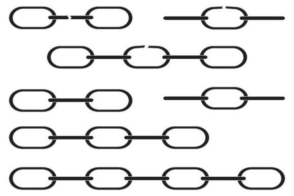 Chain Collection Link: A Designer’s Real-World Embroidery Review