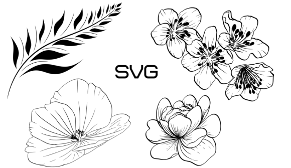 Decorative Floral Elements SVG