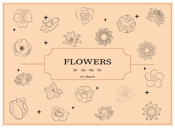 Flower Graphics & Illustrations